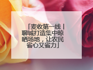 麦收第一线丨聊城打造集中晾晒场地，让农民省心又省力